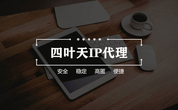 【自贡代理IP】如何快速搭建代理IP？怎么检查代理的效果？